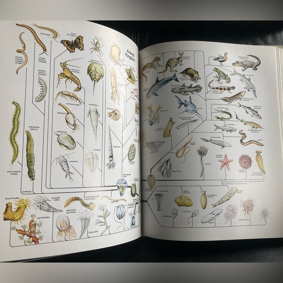 Books (Hardback): The Ocean World by Jacques Cousteau - Picture 13 of 16